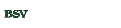 THE BANK OF SOUTHSIDE VIRGINIA